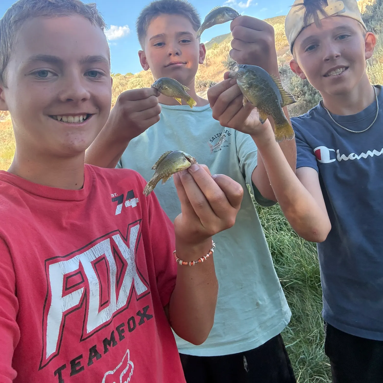 recently logged catches