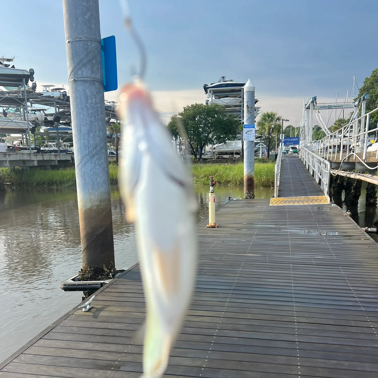 catch