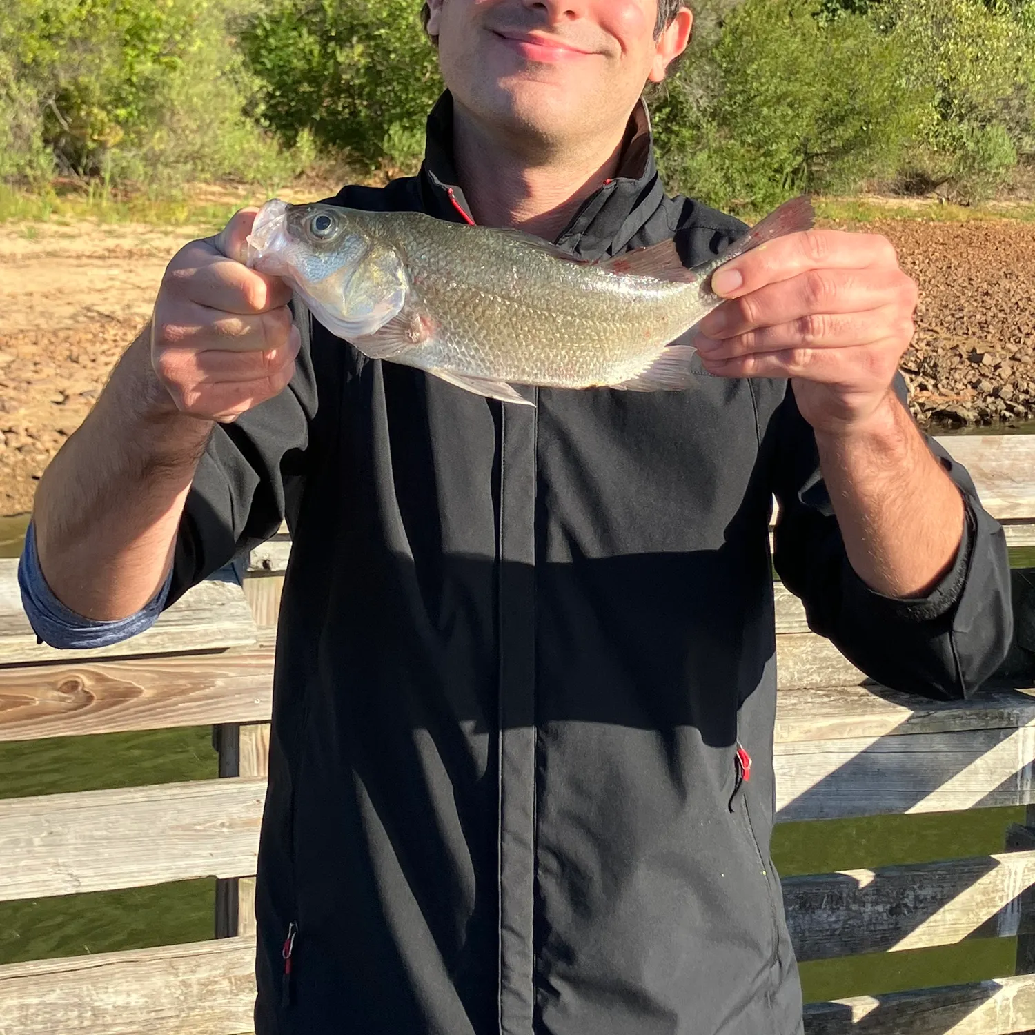 White bass caught on Fishbrain