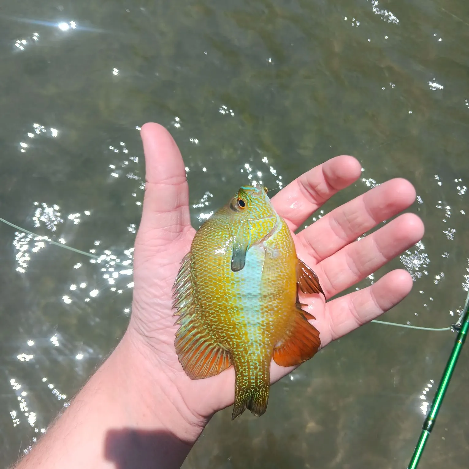 most liked catch image