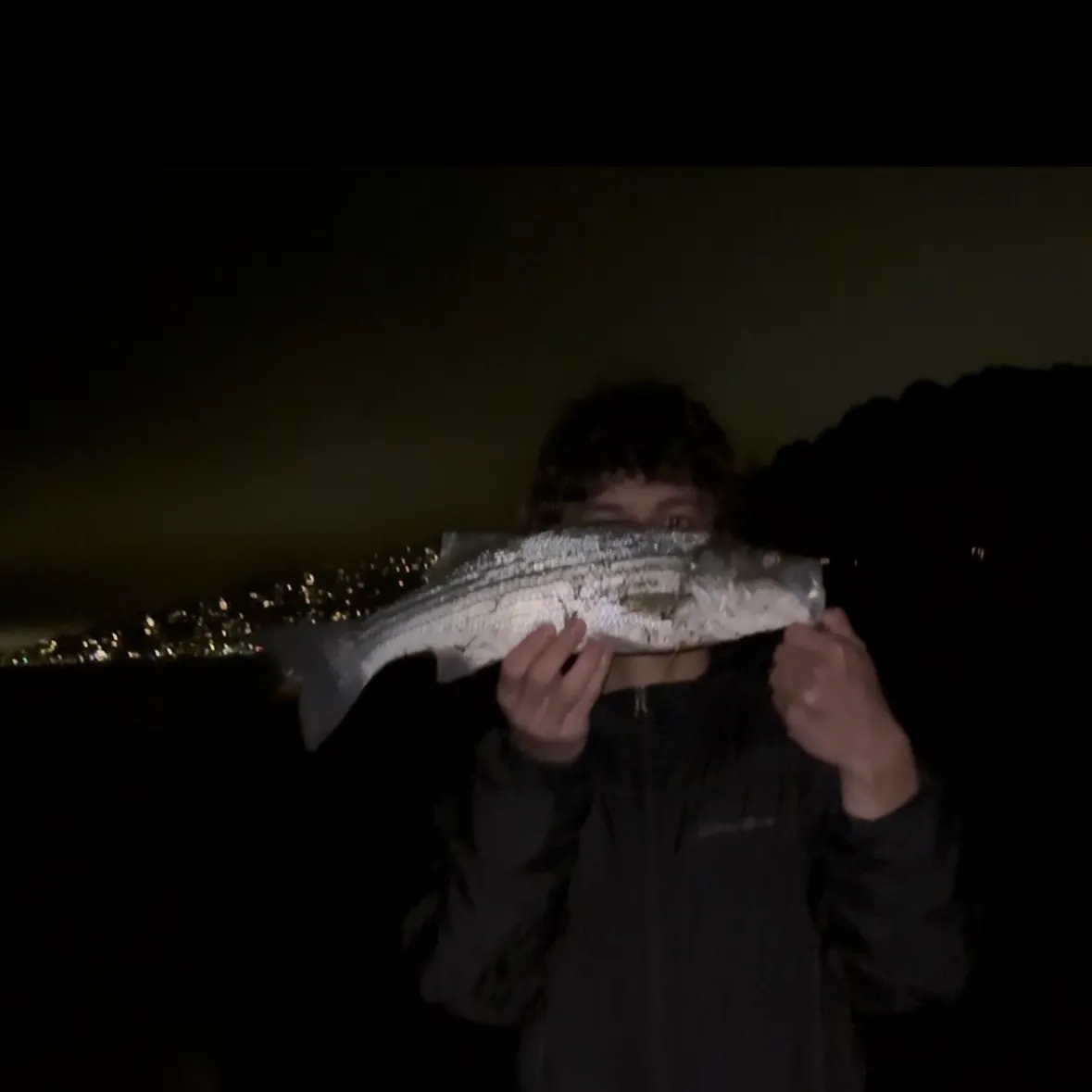 Striped bass caught on Fishbrain