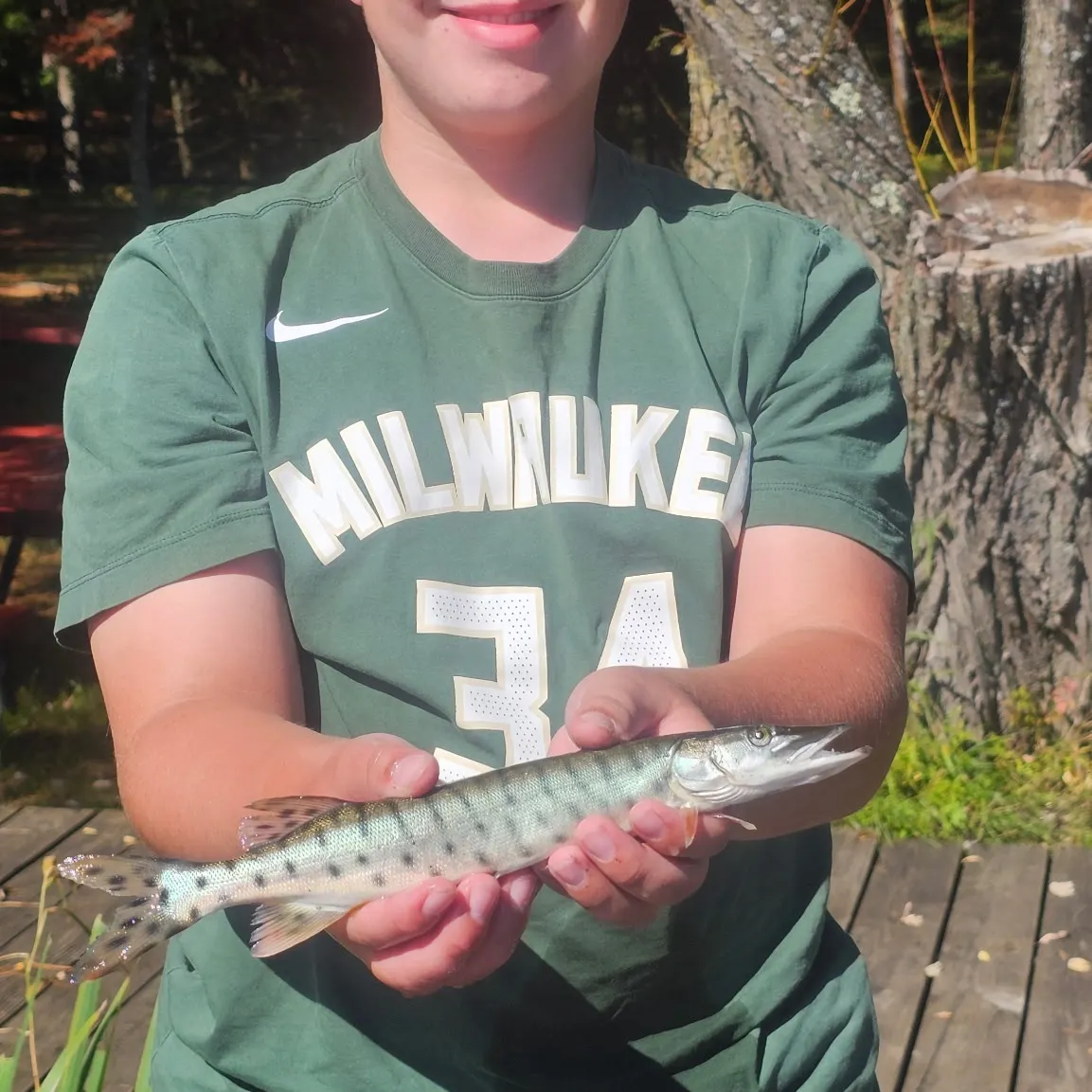 The most recent Tiger muskellunge catches on Fishbrain