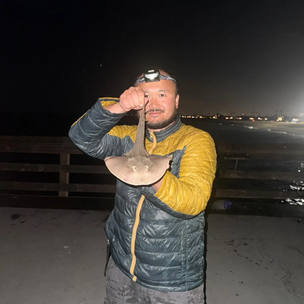 The most recent Thornback guitarfish catches on Fishbrain