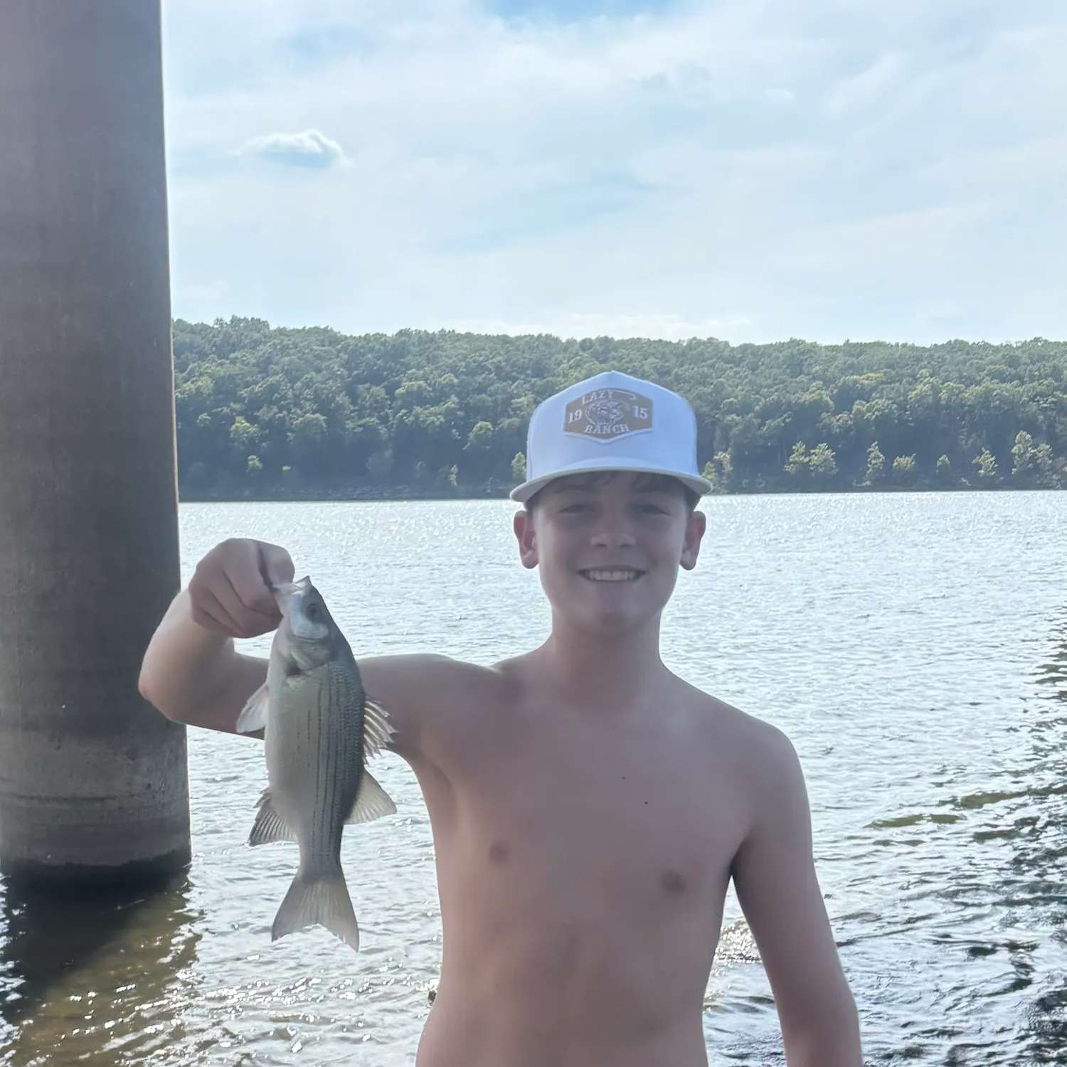 White bass caught on Fishbrain