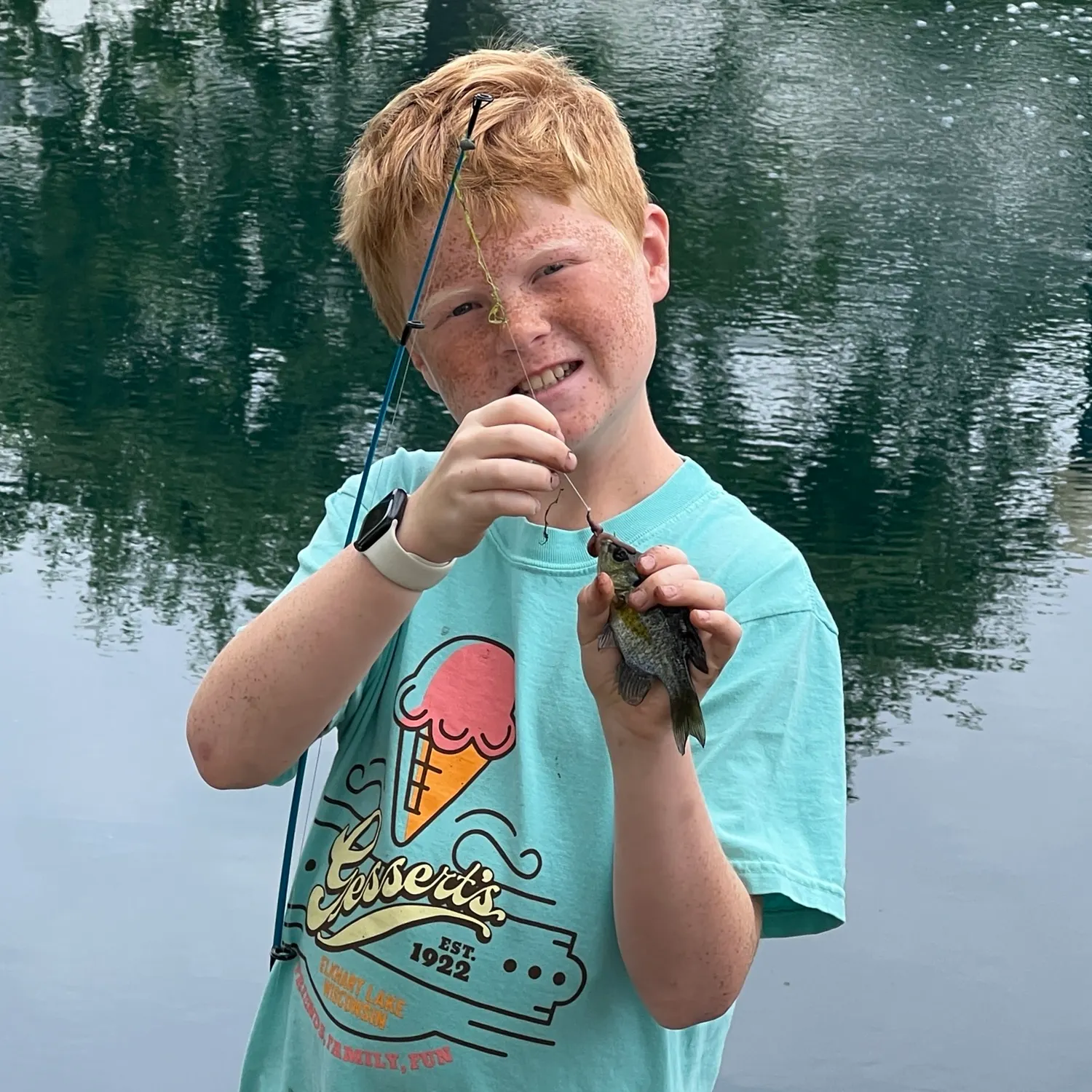 The most recent Dollar sunfish catches on Fishbrain