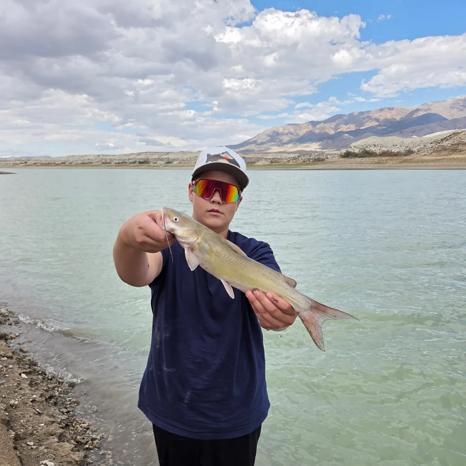 Channel catfish caught on Fishbrain