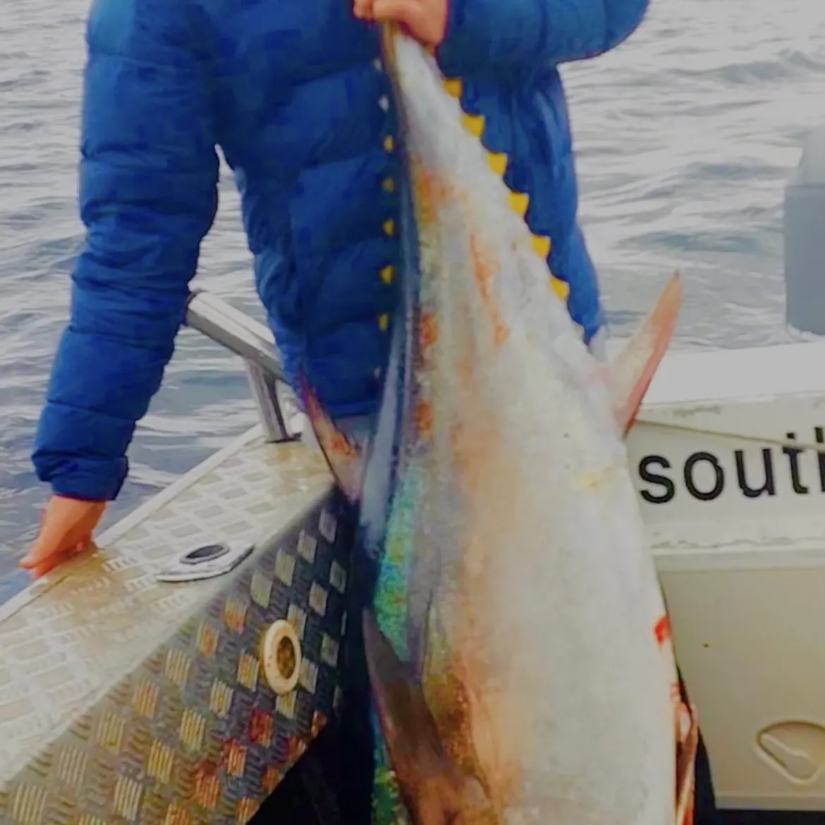 Yellowfin tuna caught on Fishbrain