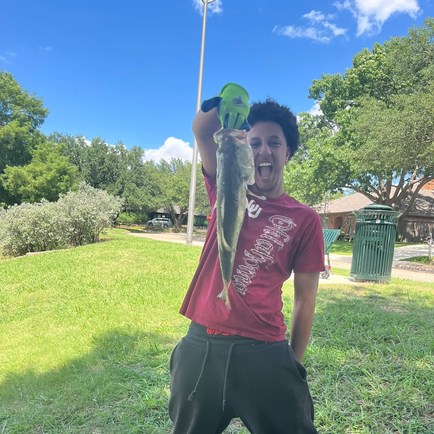 recently logged catches
