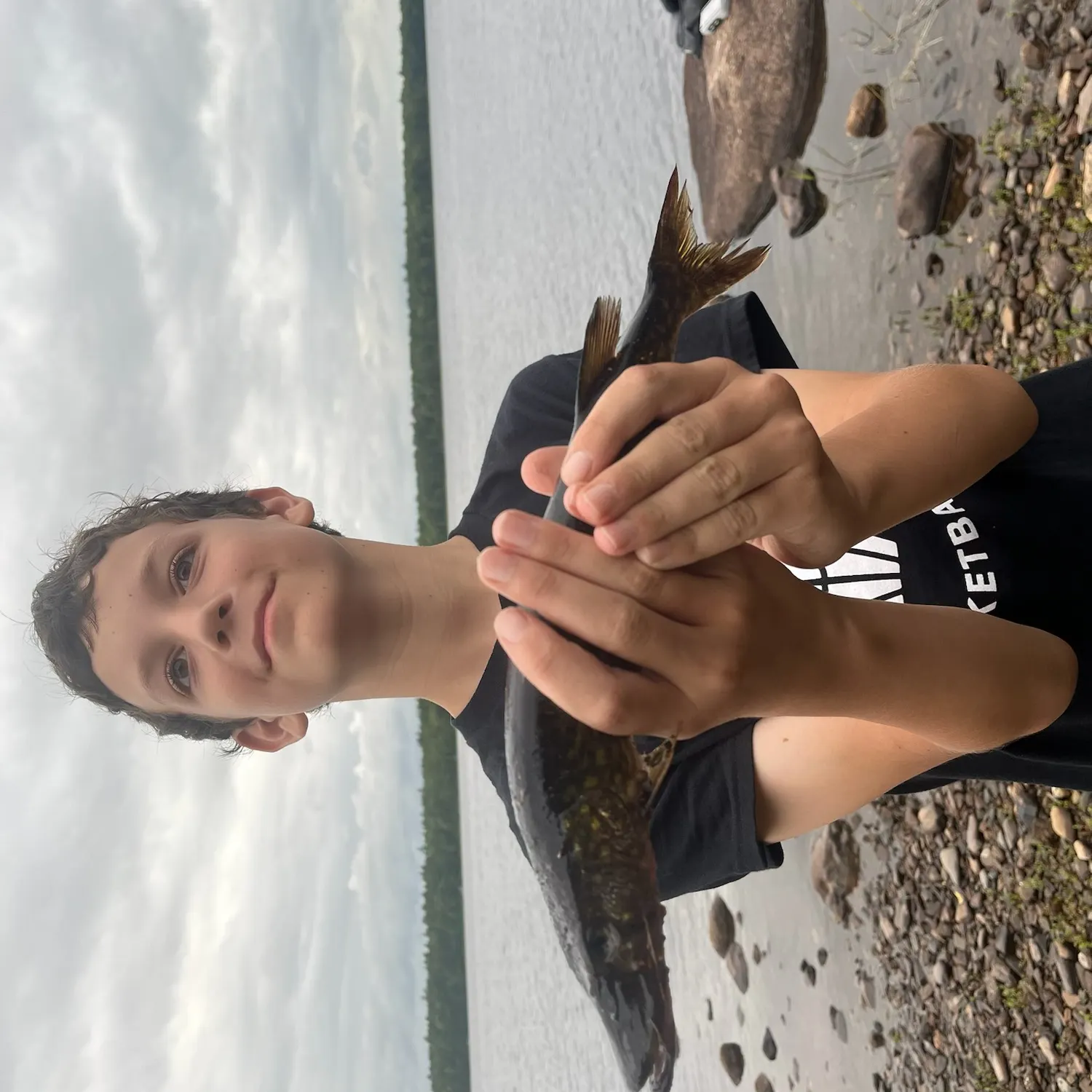 Chain pickerel caught on Fishbrain