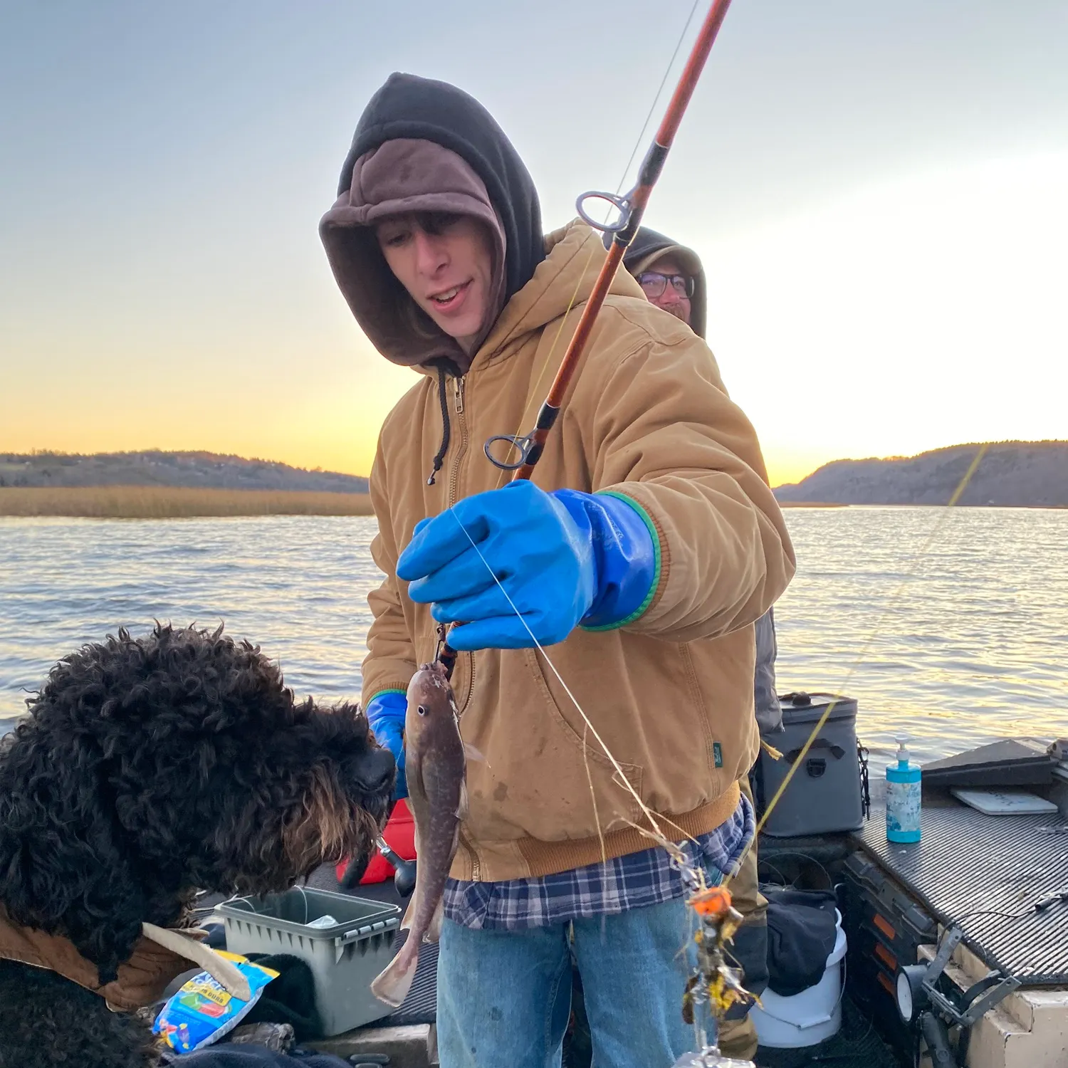 The most recent Atlantic tomcod catches on Fishbrain