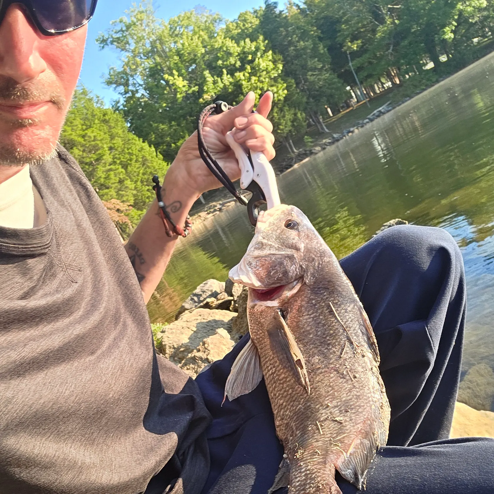 Freshwater drum caught on Fishbrain