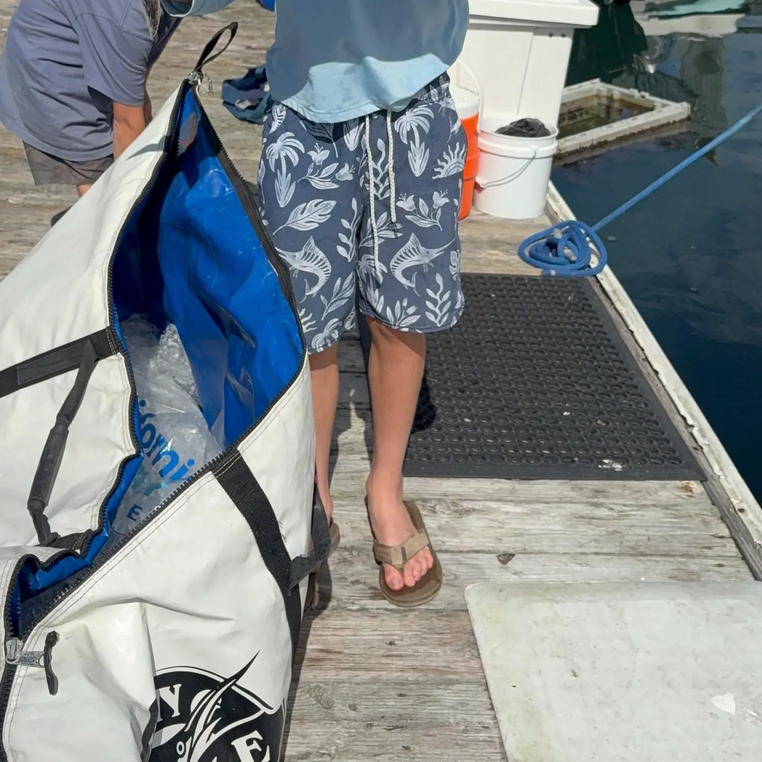 Skipjack tuna caught on Fishbrain