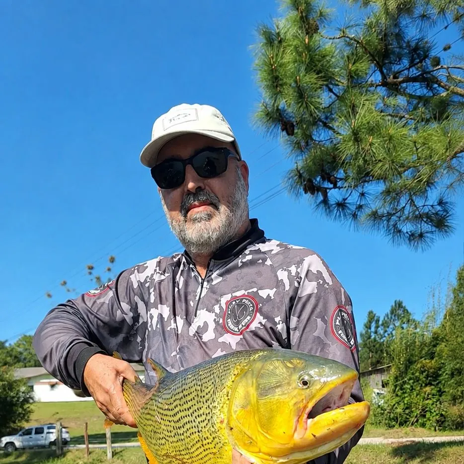 The most recent Golden dorado catches on Fishbrain