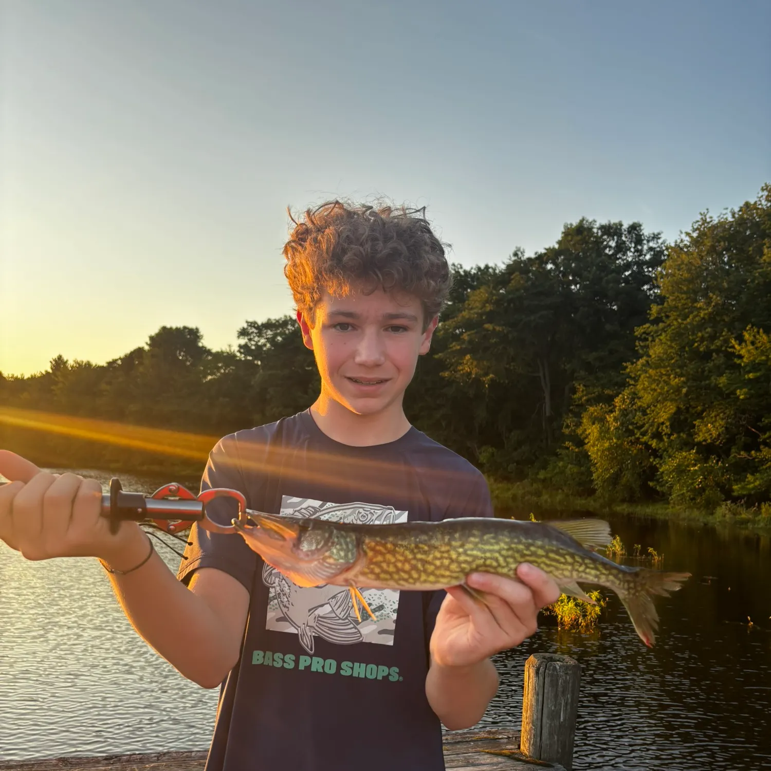Chain pickerel caught on Fishbrain