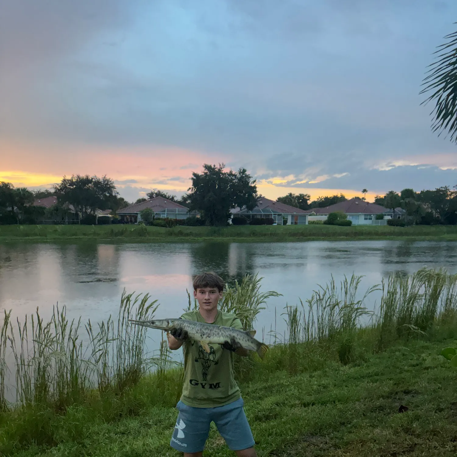 Florida gar caught on Fishbrain