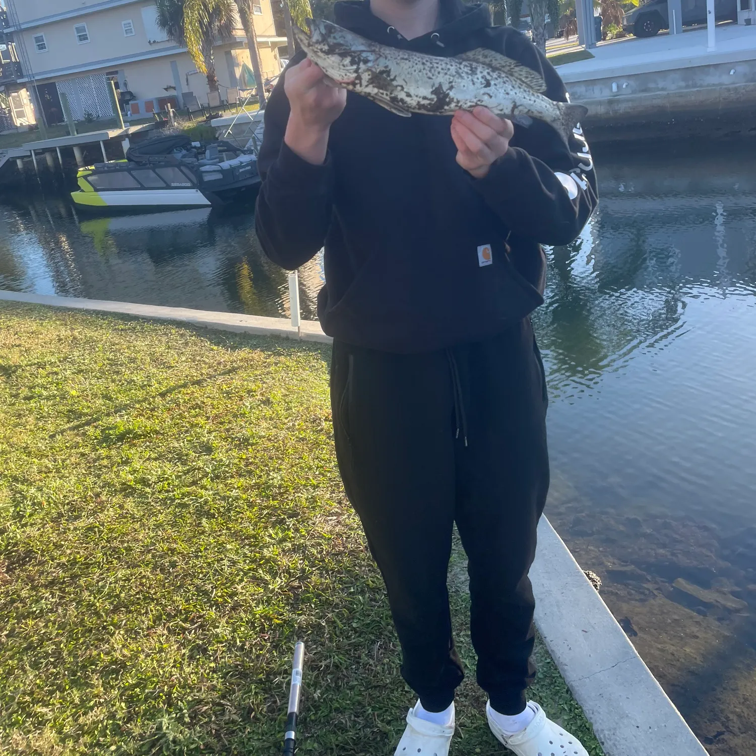 The most recent Spotted seatrout catches on Fishbrain