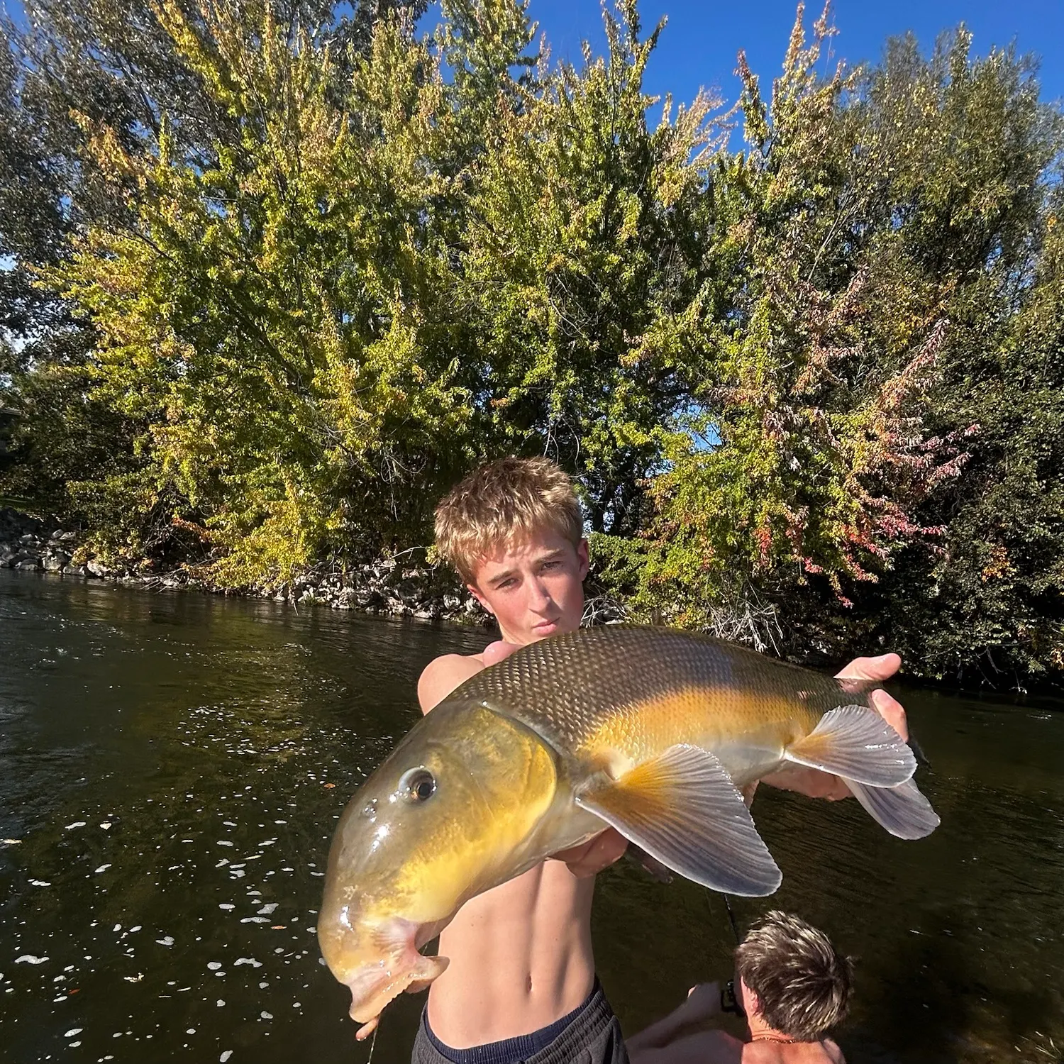 Largescale sucker caught on Fishbrain