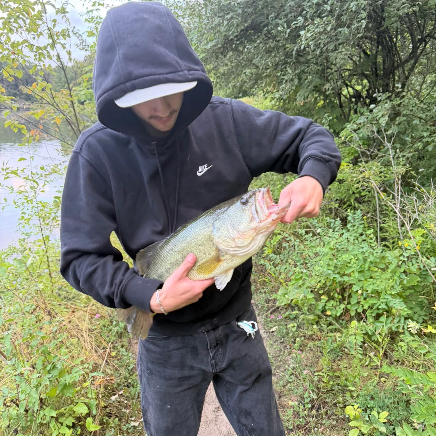 Largemouth bass caught on Fishbrain