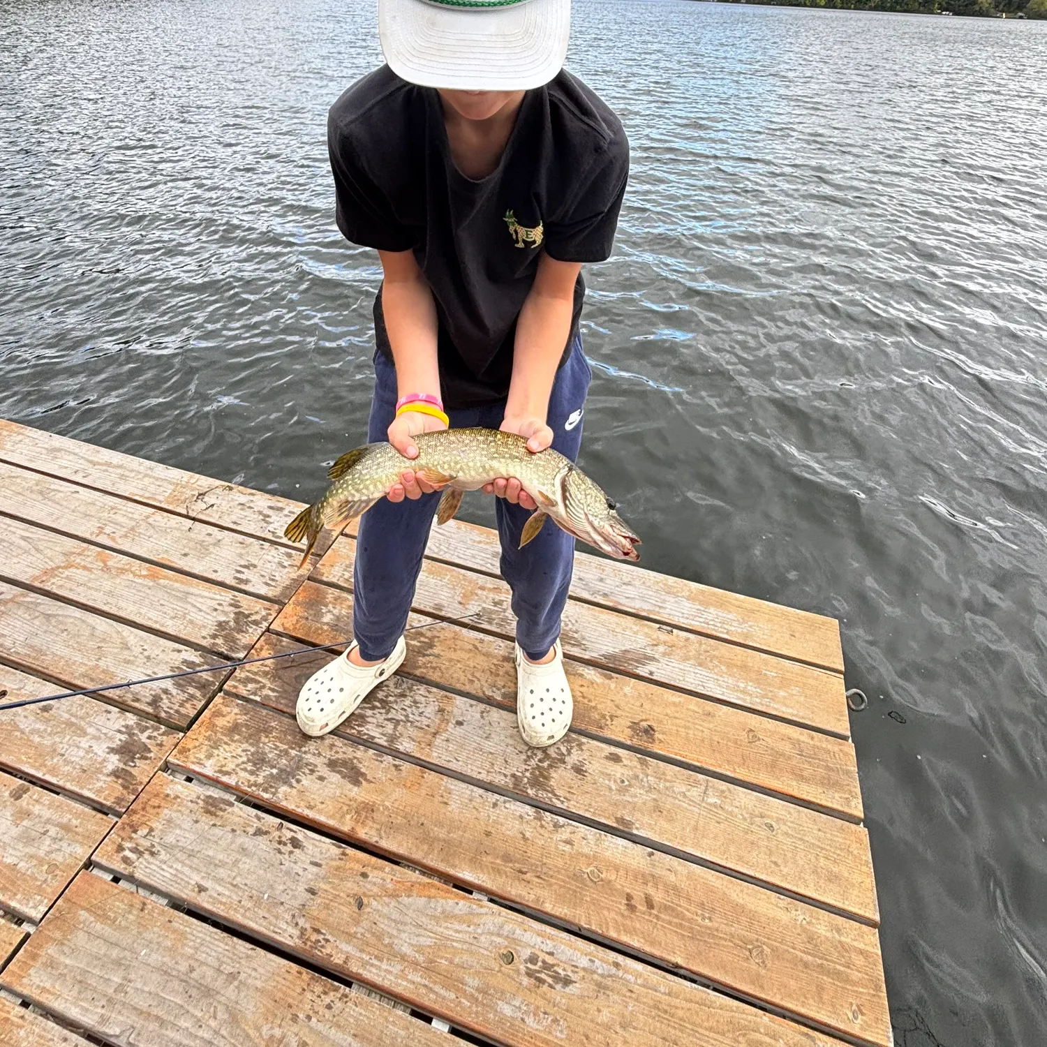 Northern pike caught on Fishbrain