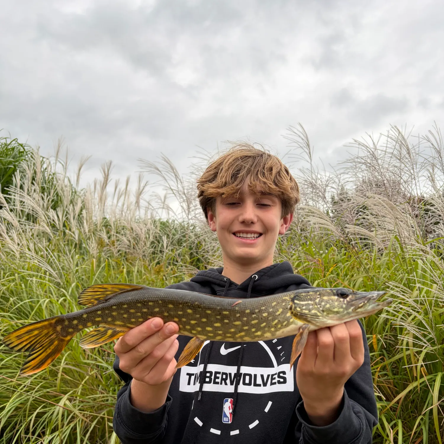 Northern pike caught on Fishbrain