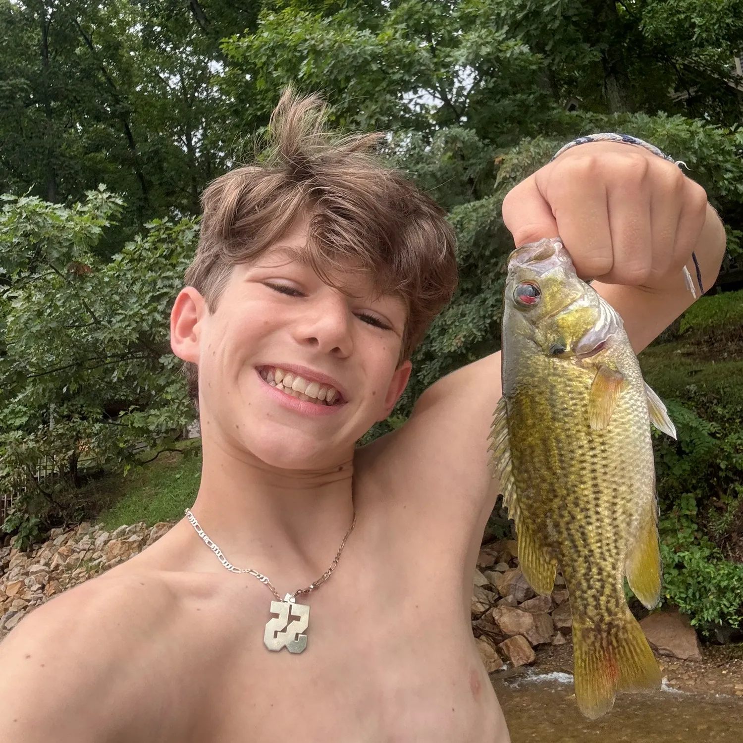 Rock bass caught on Fishbrain
