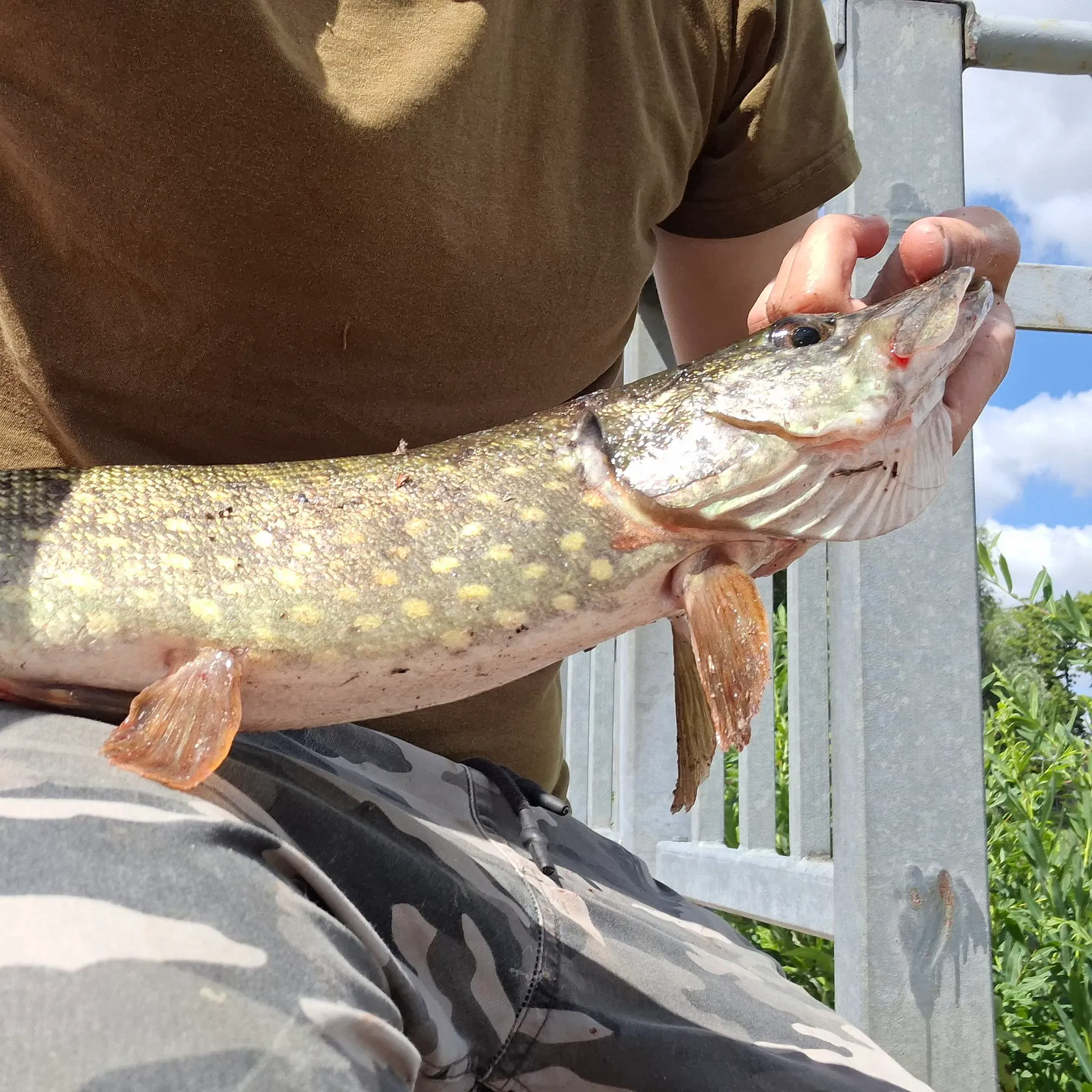 catch