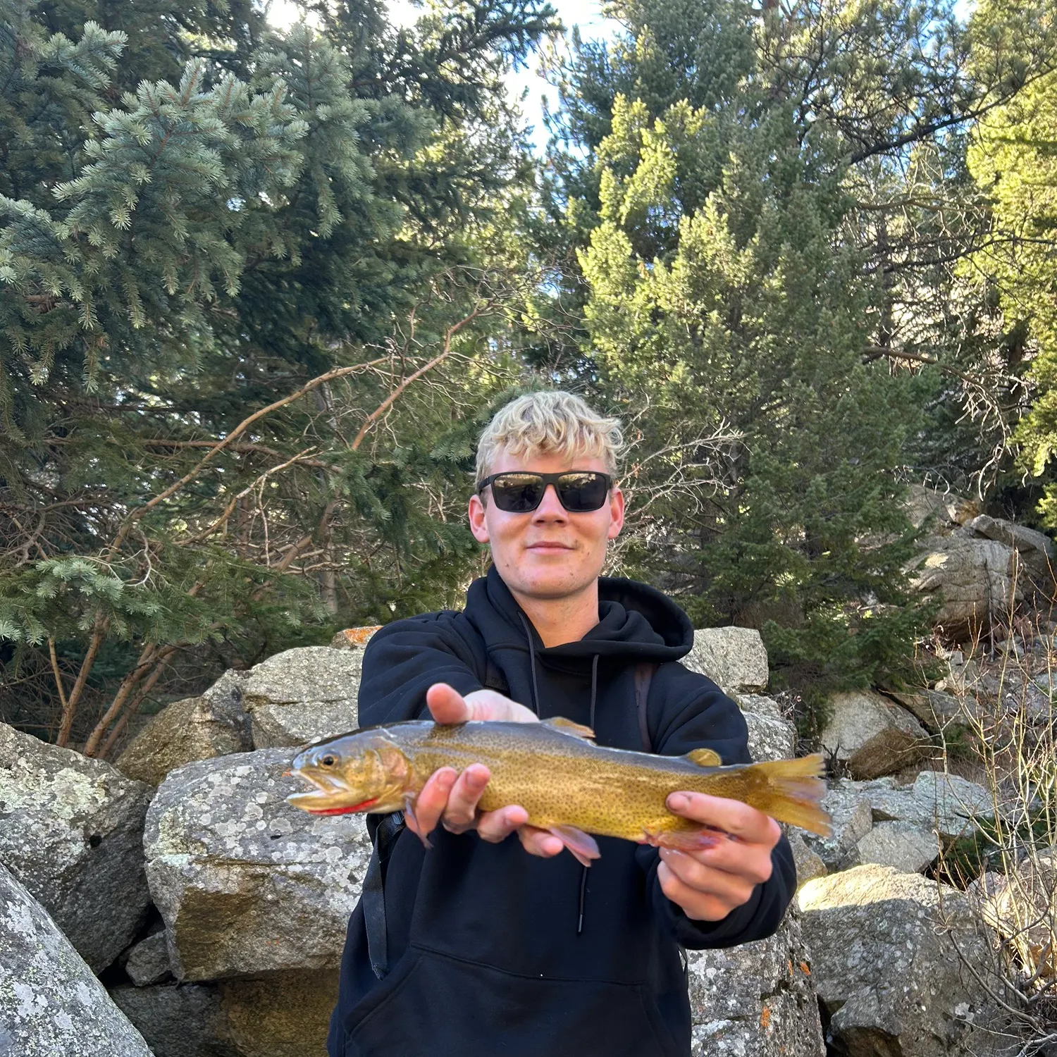 The most recent Snake River fine-spotted cutthroat trout catches on Fishbrain