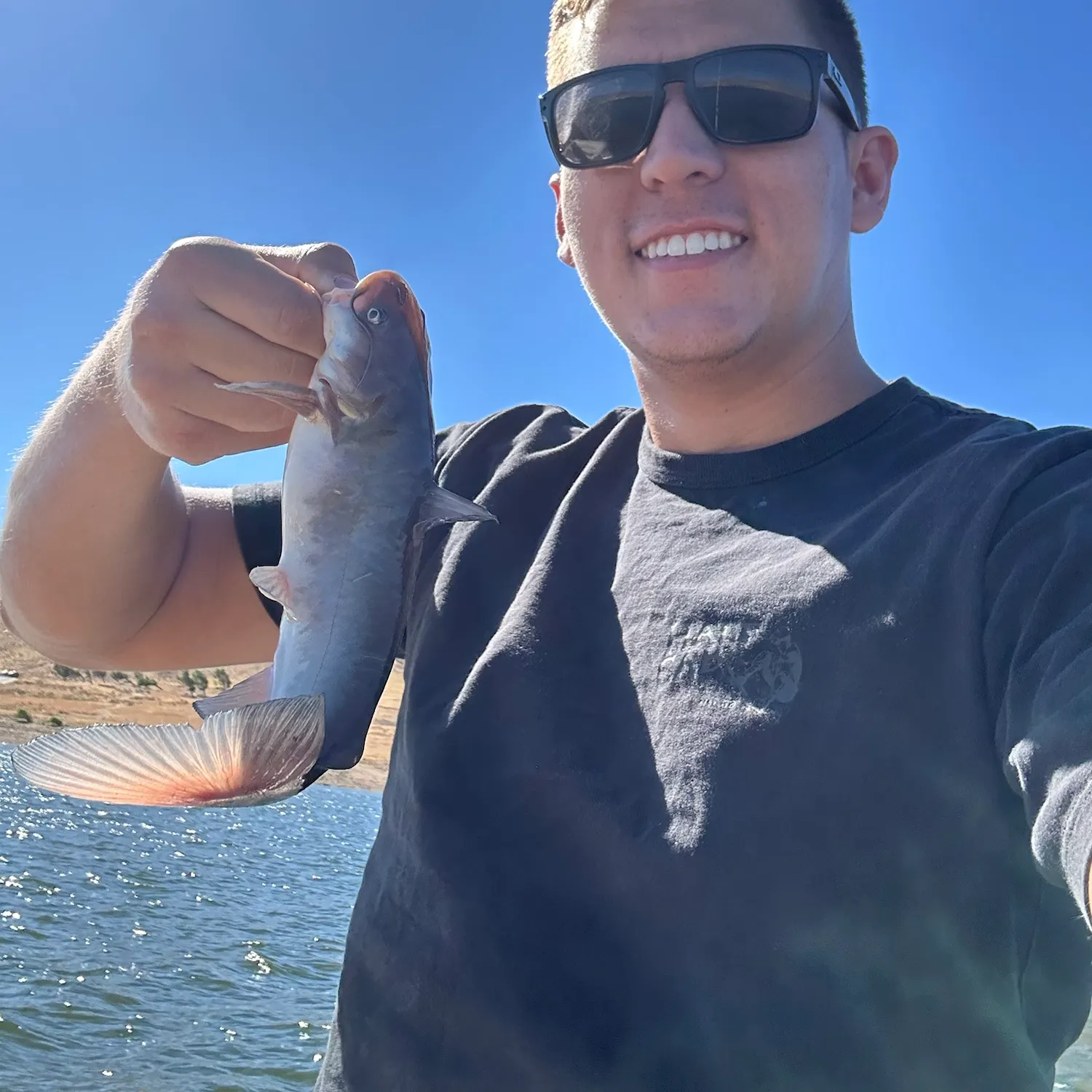 Channel catfish caught on Fishbrain