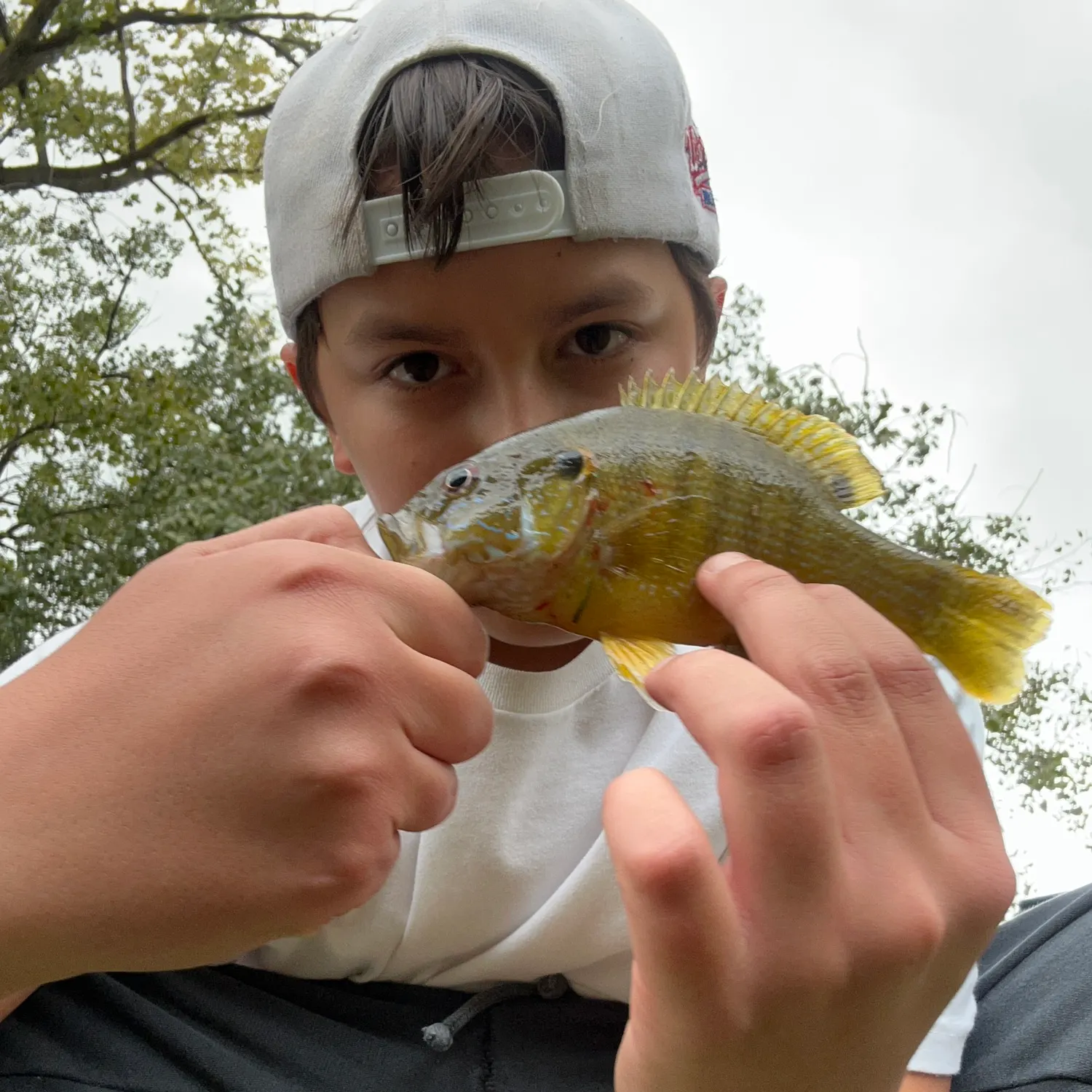 Smallmouth bass caught on Fishbrain