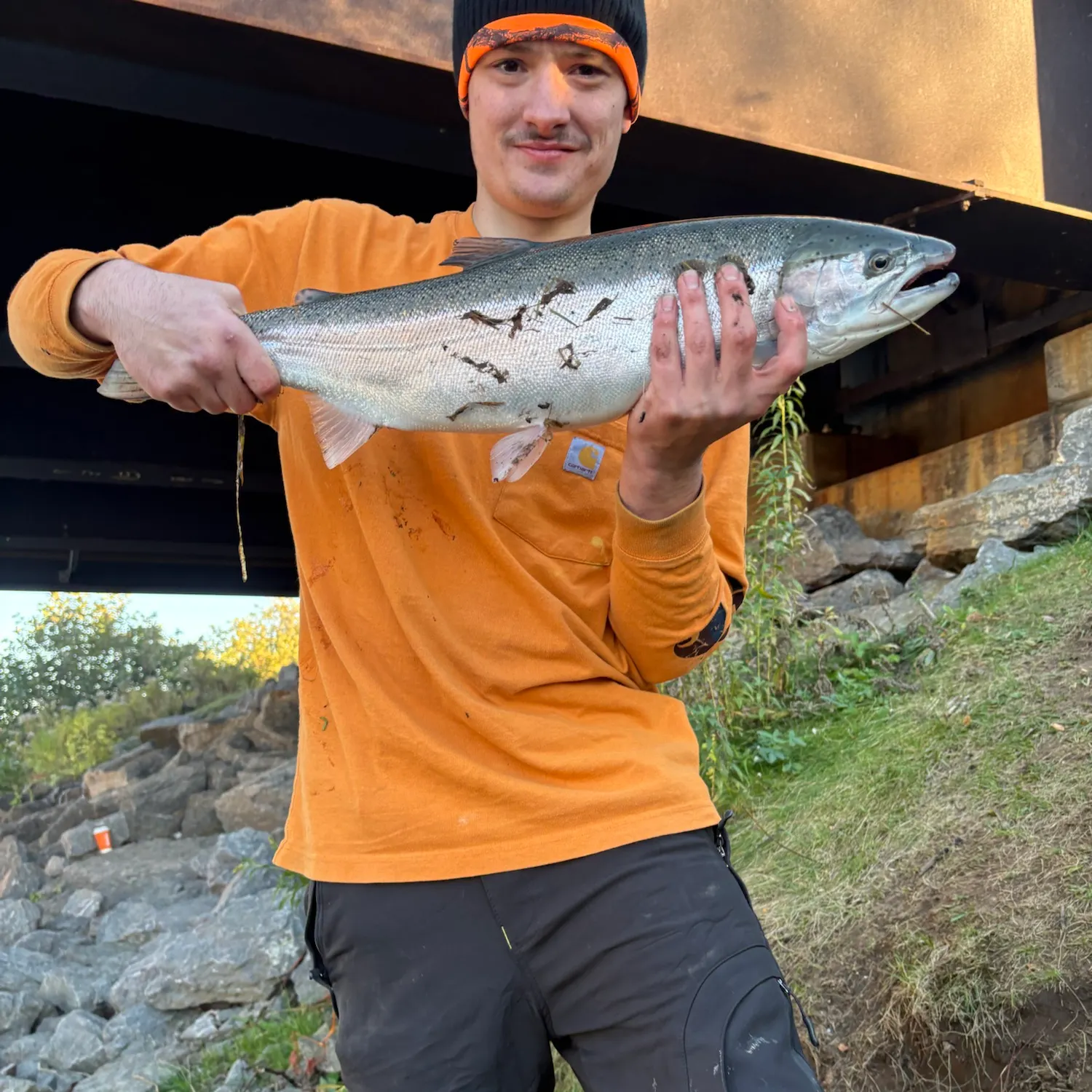 Steelhead caught on Fishbrain