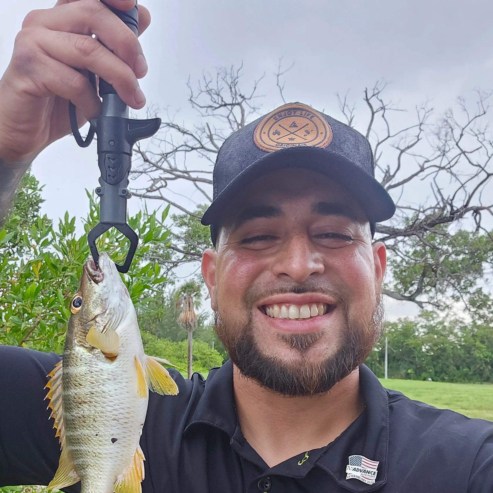The most recent Schoolmaster snapper catches on Fishbrain