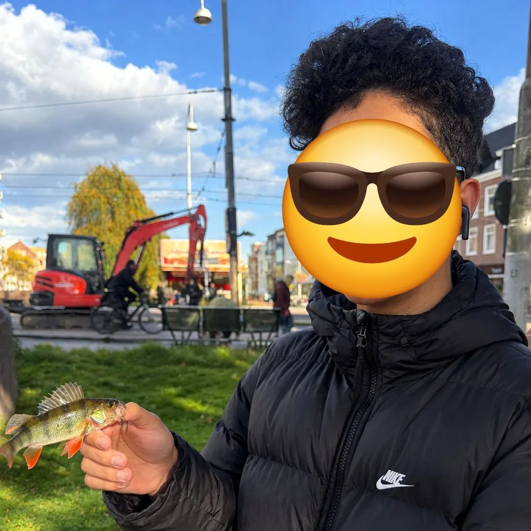 European perch caught on Fishbrain