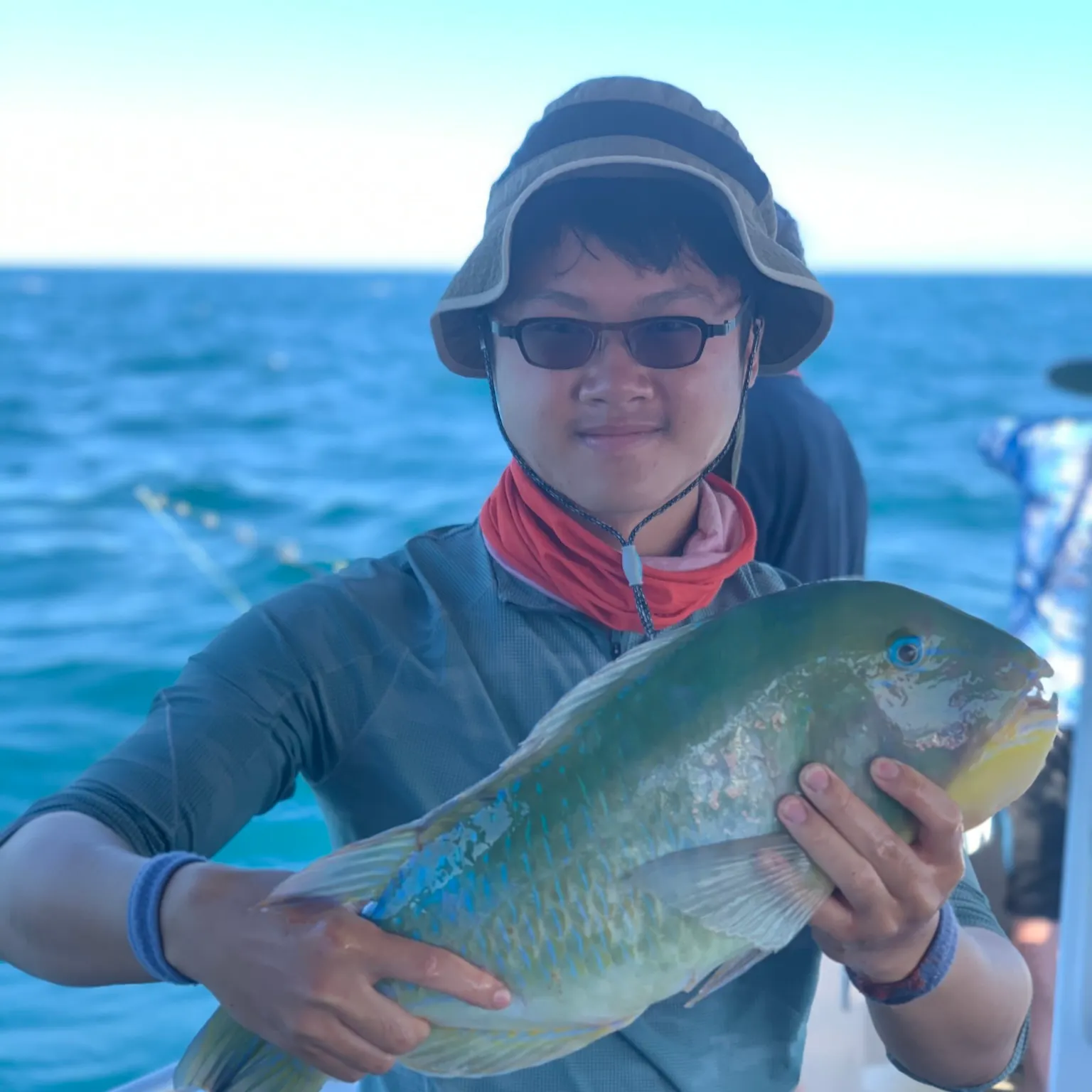 The most recent Blackspot tuskfish catches on Fishbrain