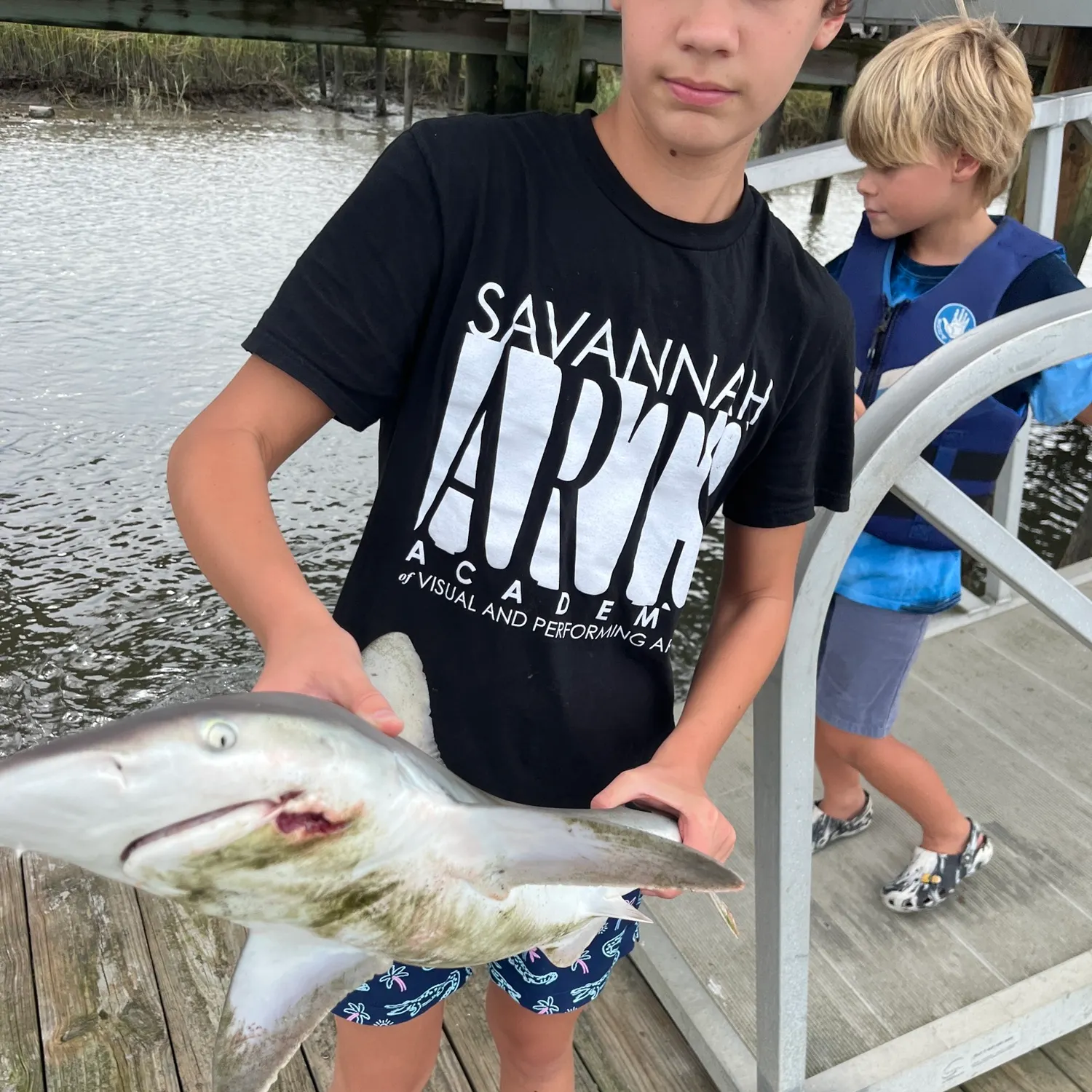 Blacktip shark caught on Fishbrain