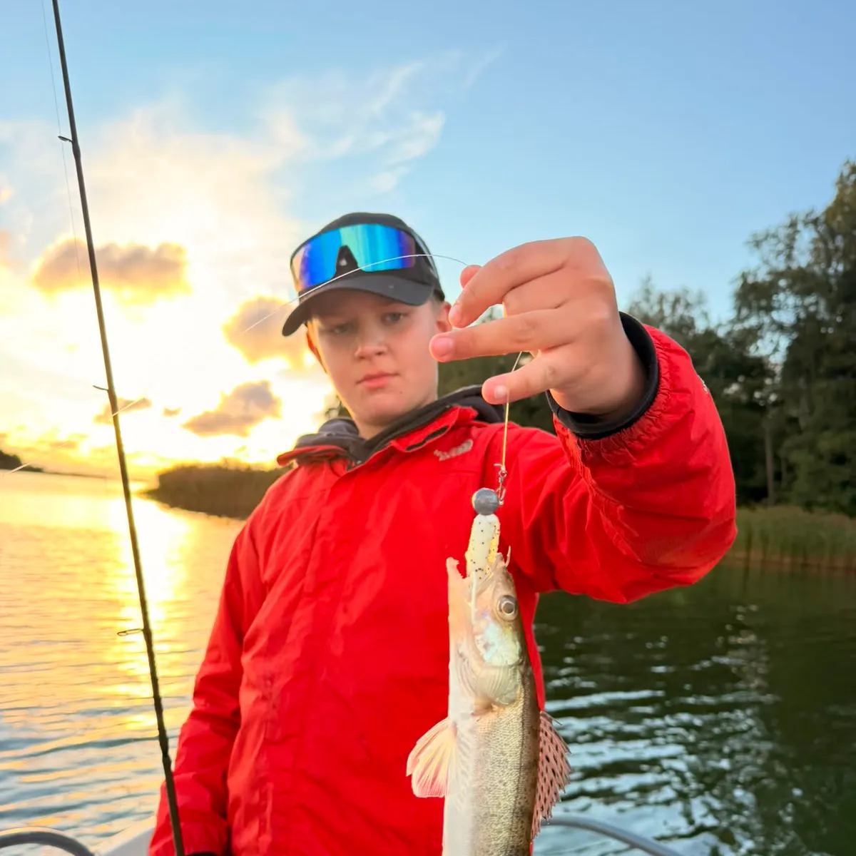 Zander caught on Fishbrain
