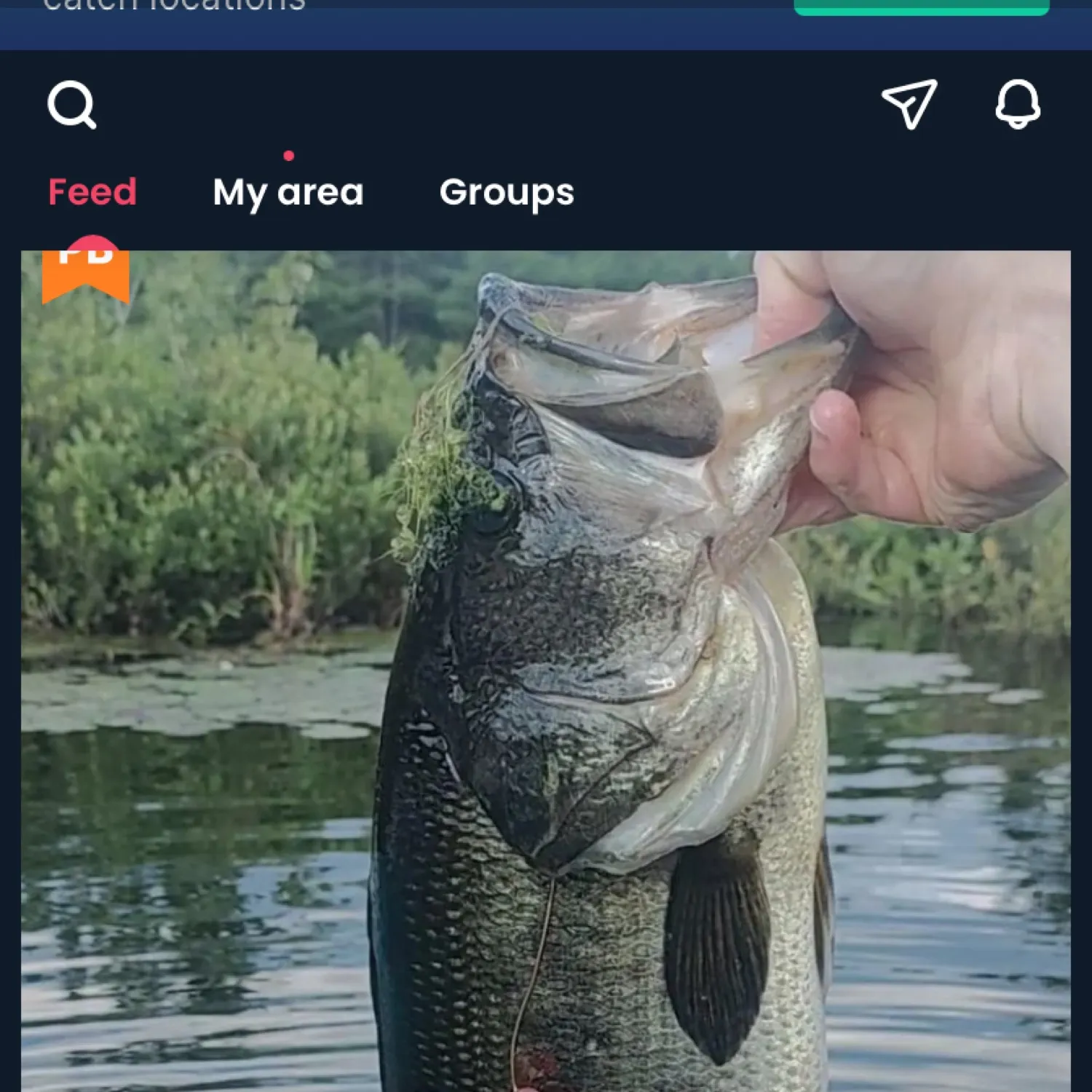 recently logged catches