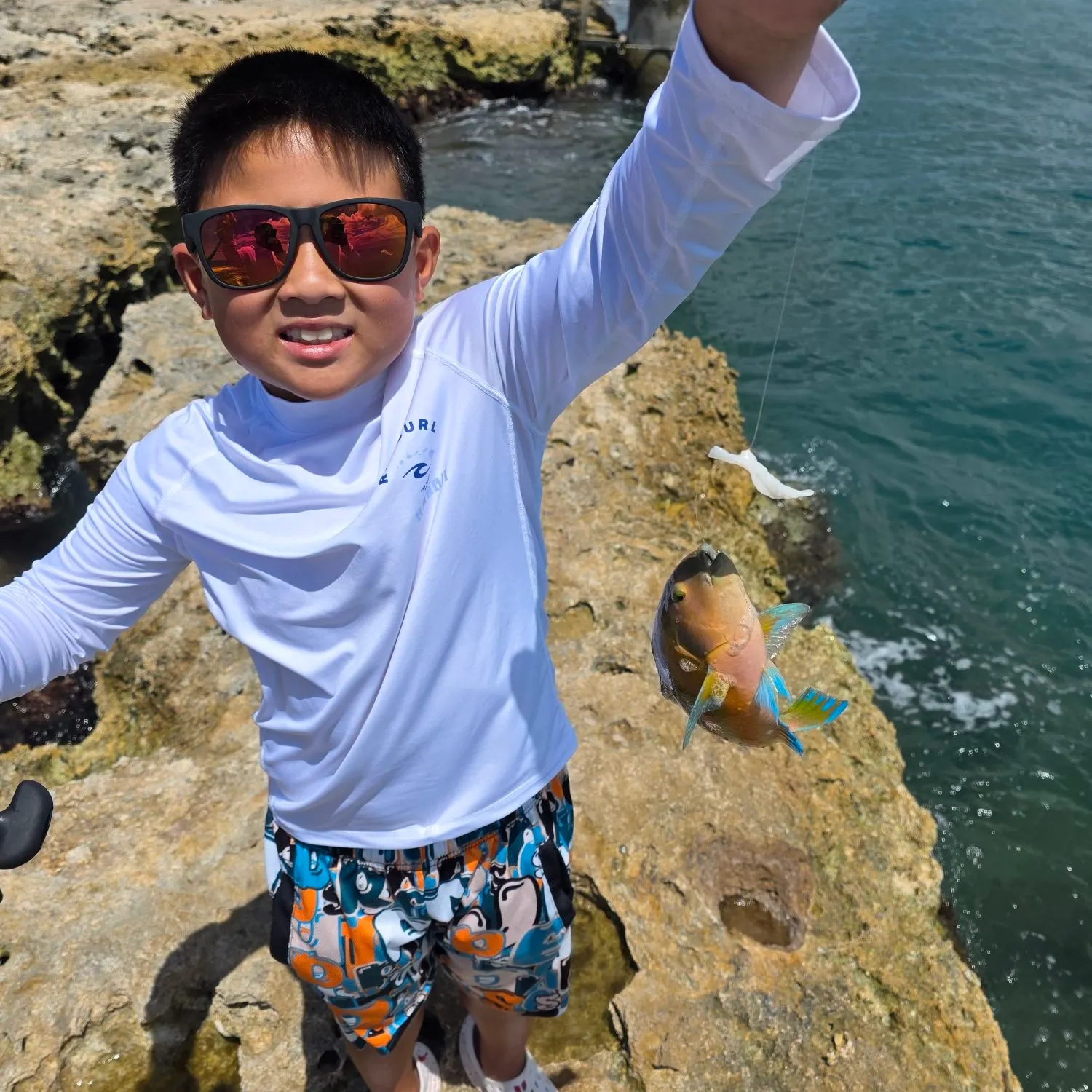 Christmas wrasse caught on Fishbrain