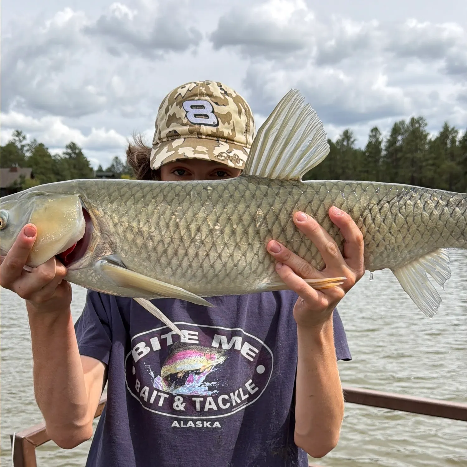 Grass carp caught on Fishbrain
