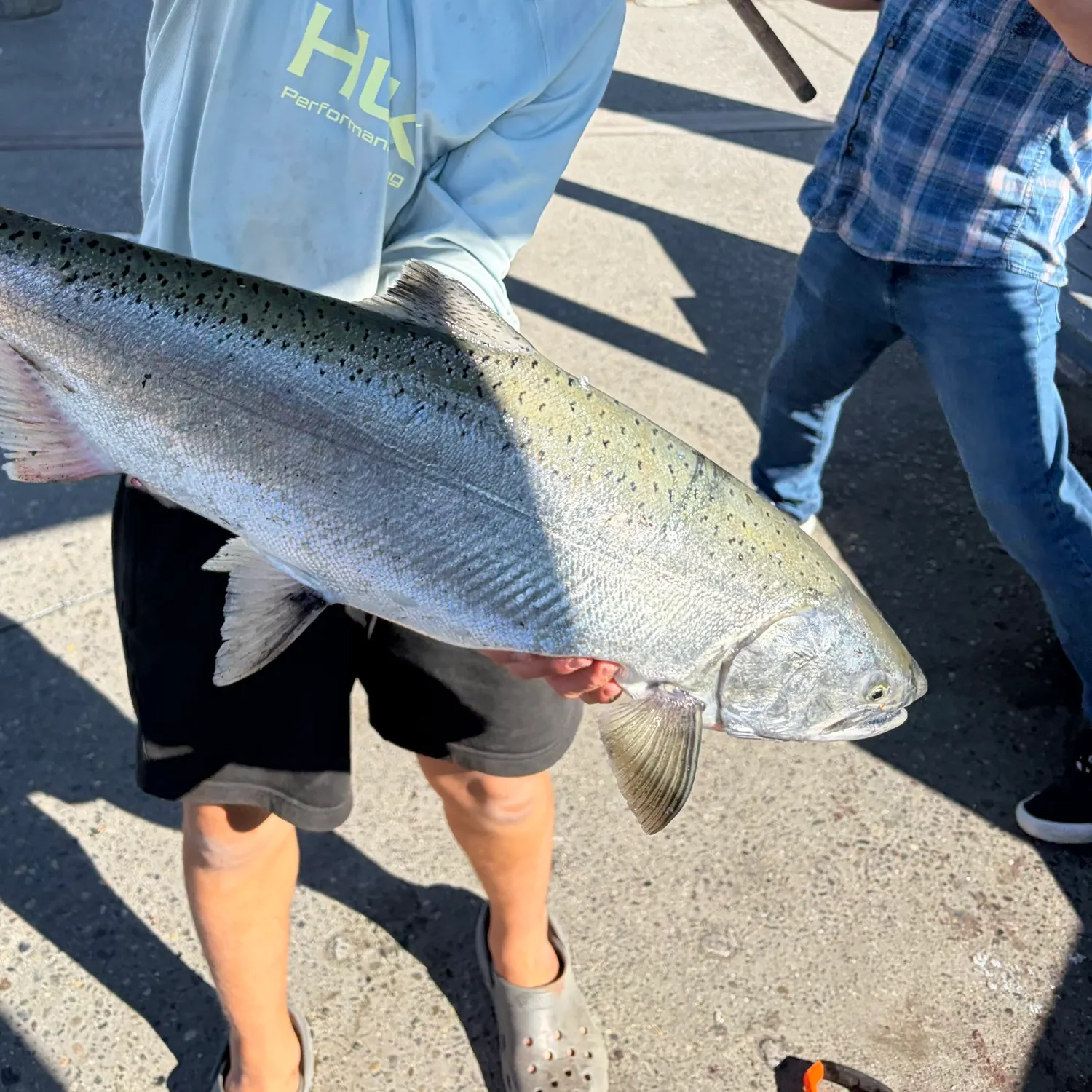 Chinook salmon caught on Fishbrain