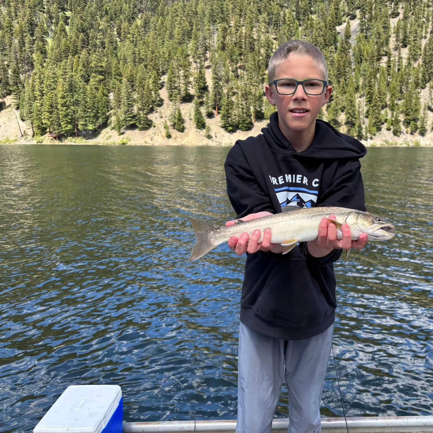 Bull trout caught on Fishbrain
