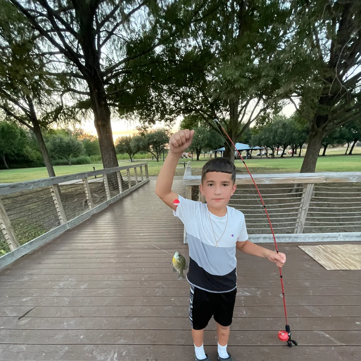 Bluegill caught on Fishbrain