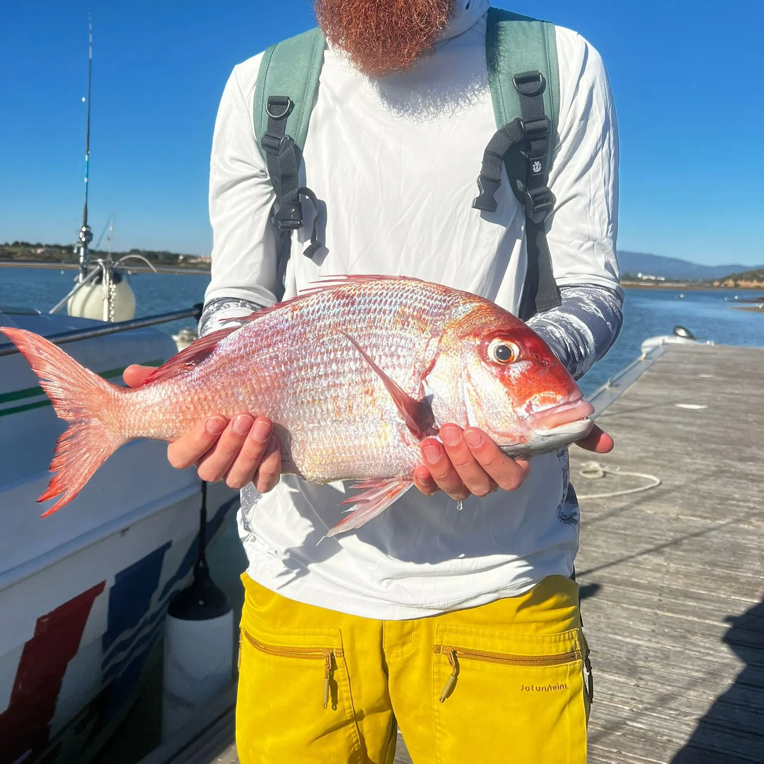 The most recent Northern red snapper catches on Fishbrain