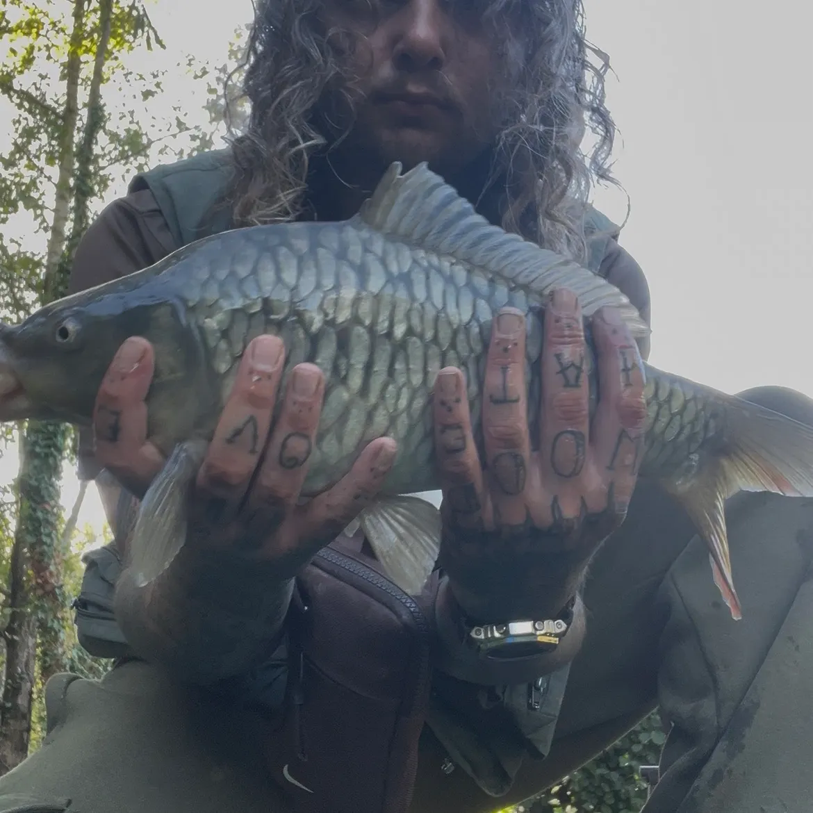 Mirror carp caught on Fishbrain
