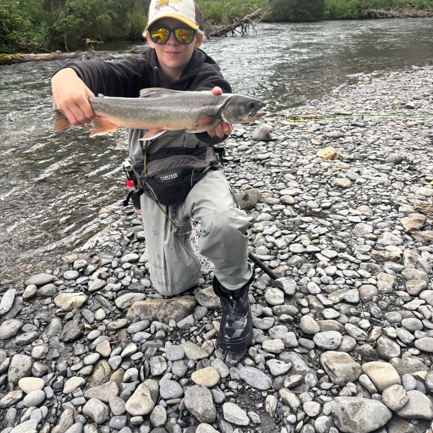 Dolly varden caught on Fishbrain