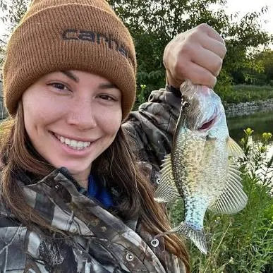 The most recent White crappie catches on Fishbrain