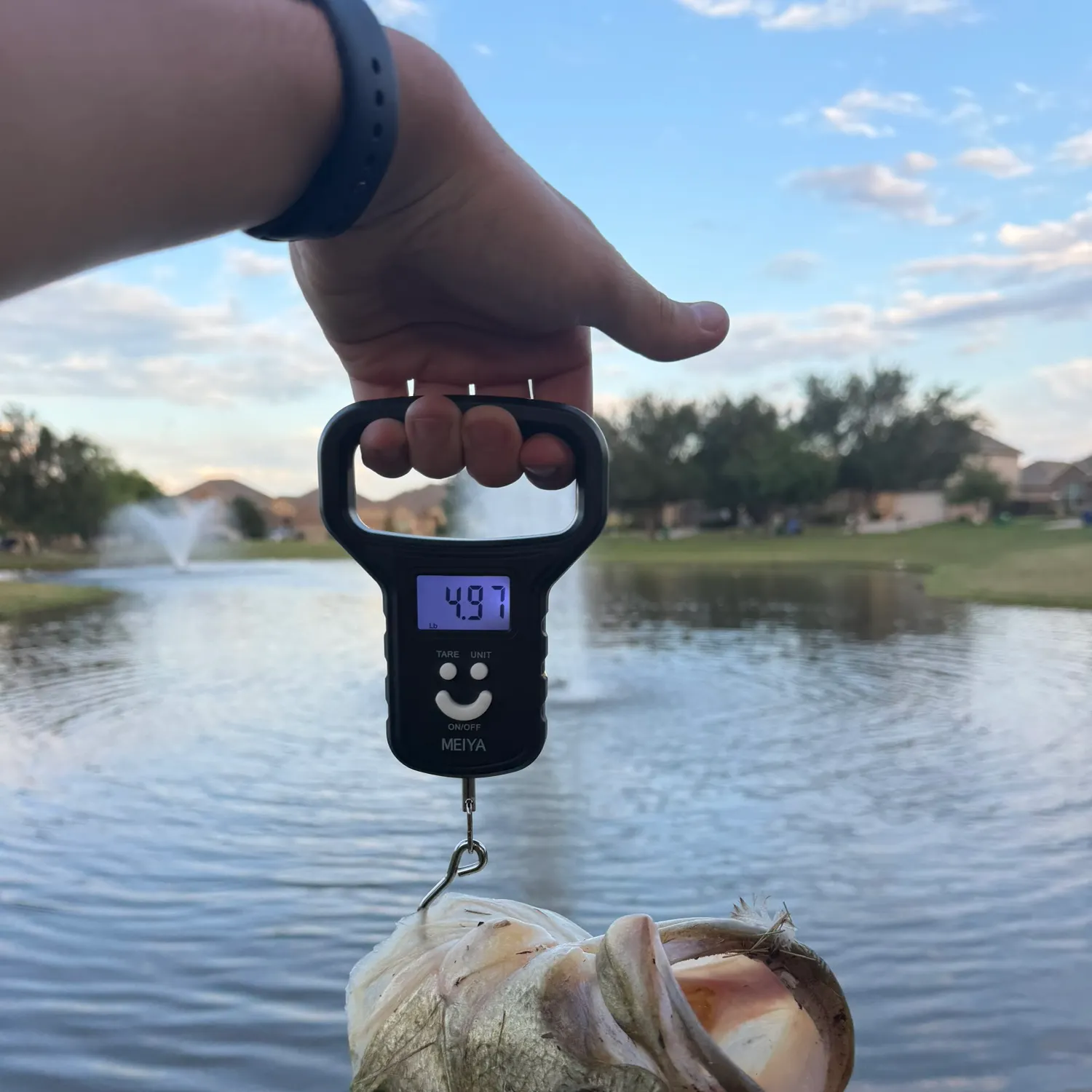 catch