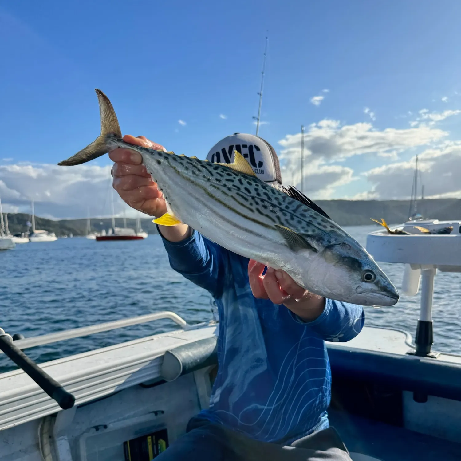 The most recent Leaping bonito catches on Fishbrain