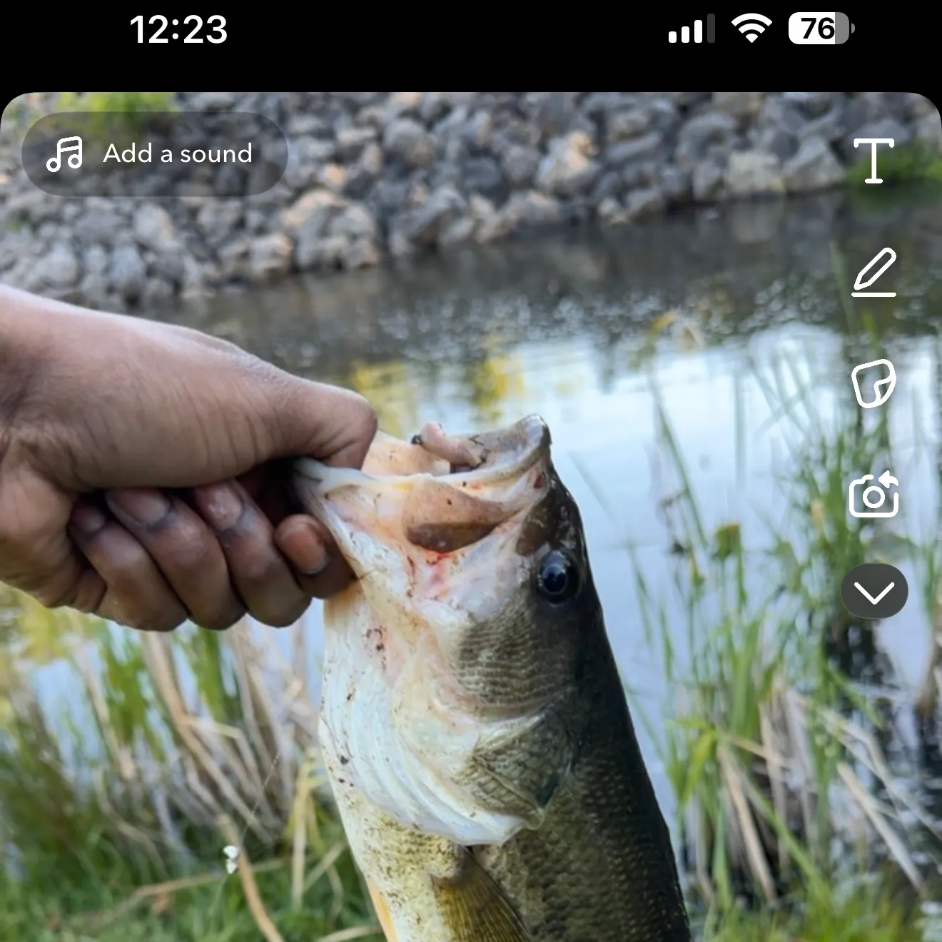 catch