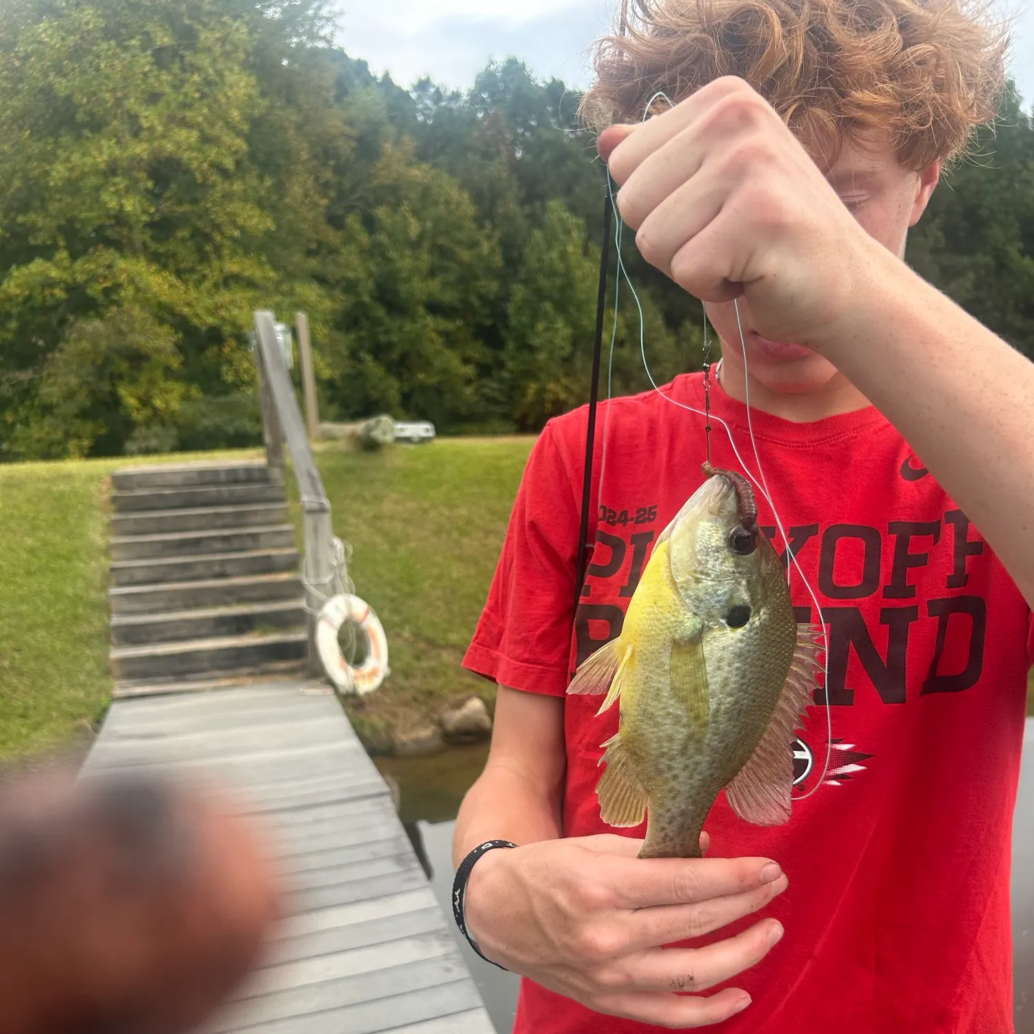 Redear sunfish caught on Fishbrain
