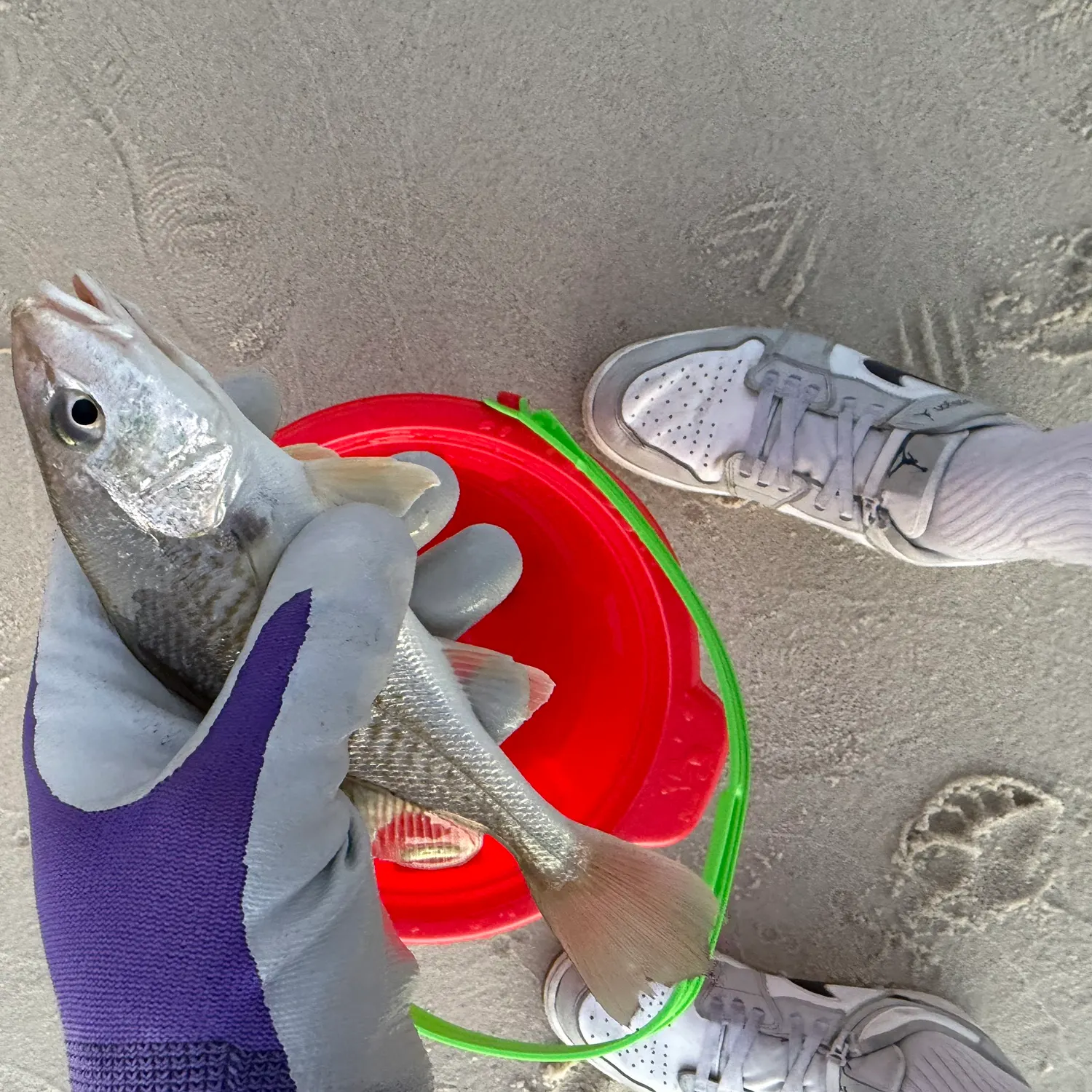 catch